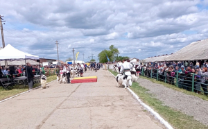 Sute de producători și fermieri, la un celebru târg din Moldova. „Îți crește inima ca un cozonac când vezi roadele muncii”