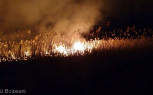 Dezastru la Botoșani! 5 hectare de miriște au ars la Havârna