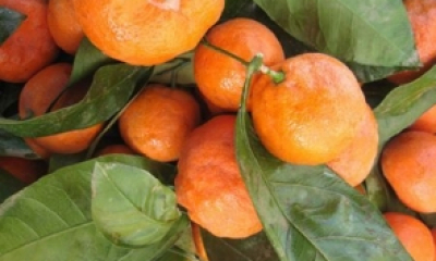 Avertismentul medicului: NU mâncați mandarine cu aceste alimente