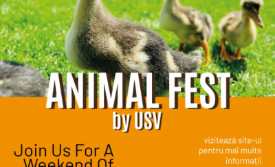 Curs de prim ajutor pentru animalele de companie, la „Animal Fest by USV”