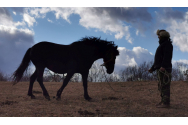  Caii huțuli din Bucovina, vals în pașii vântului