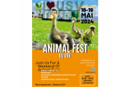 USV Iași organizează ANIMAL FEST, la sfârșitul acestei săptămâni,  în premieră va avea loc un curs de prim ajutor „Pet first aid!”