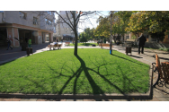 A fost demarat proiectul „Oaza de verdeață din cartierul nostru”