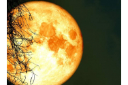 Luna Plină în Pești, 21 septembrie. Dezvăluiri interesante pentru toate zodiile