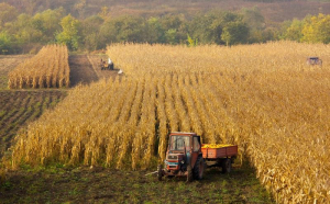 România are terenuri arabile mai scumpe decât Franța