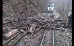 Trenuri blocate între Petroşani şi Crivadia. Mai mulți copaci au căzut pe calea ferată