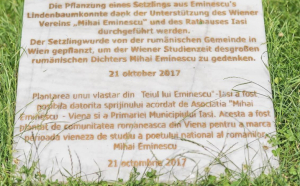  Replica teiului lui Eminescu din Viena a înflorit pentru prima oară