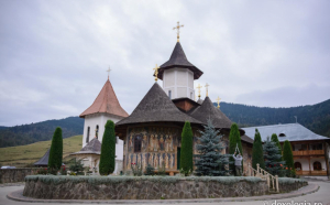 Un urs dă târcoale Mănăstirii Petru Vodă