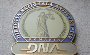 Procurorii DNA, percheziții la biroul Doinei Fedorovici, dar și la sediul PSD