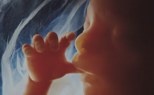 Cercetătorii transumaniști lucrează la crearea de embrioni umani cu ADN provenind de la doi bărbați