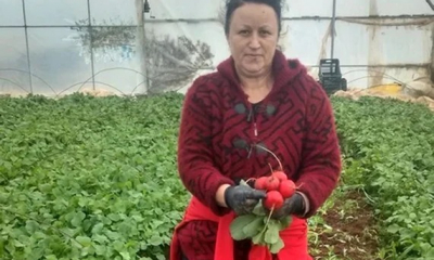 „Au venit ucrainenii şi au luat cam tot ce aveam”. Producătorii români, lăsați fără legume