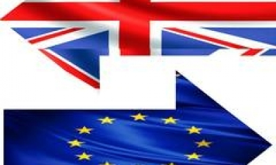Deputatii britanici urmeaza sa dea unda verde Brexit-ului pe 31 ianuarie