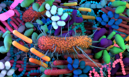Microbiomul intestinal, gardianul sănătății noastre