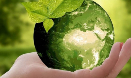 5 iunie, Ziua mondială a mediului înconjurător