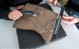 În Norvegia a fost descoperită cea mai veche piatră runică din lume