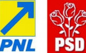Numele pentru europarlamentare vehiculate în PSD și PNL: 'independentul' din lista comună