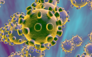 Coronavirus. Japonia a confirmat primul caz de infecție. OMS în alertă