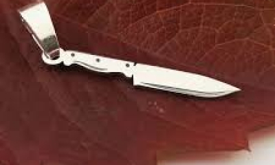 Bătaie cu cuțite la o școală din Argeș