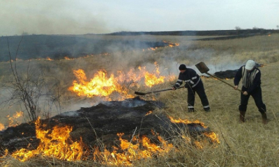 27 hectare de teren mistuite de flăcări