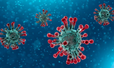 Sri Lanka raportează primul său caz de coronavirus
