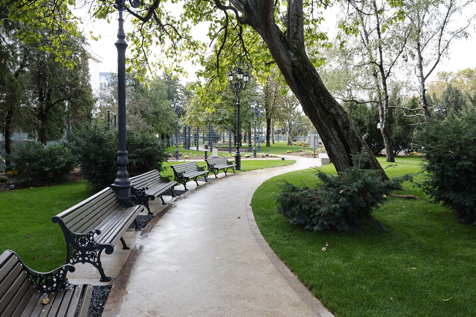 FOTO - Parcul central al Iașului, inaugurat astăzi!