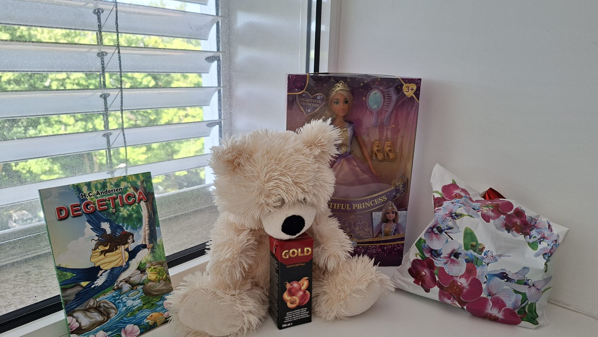 Daruri pentru copiii de la „Sfânta Maria”, într-o zi ca o poveste