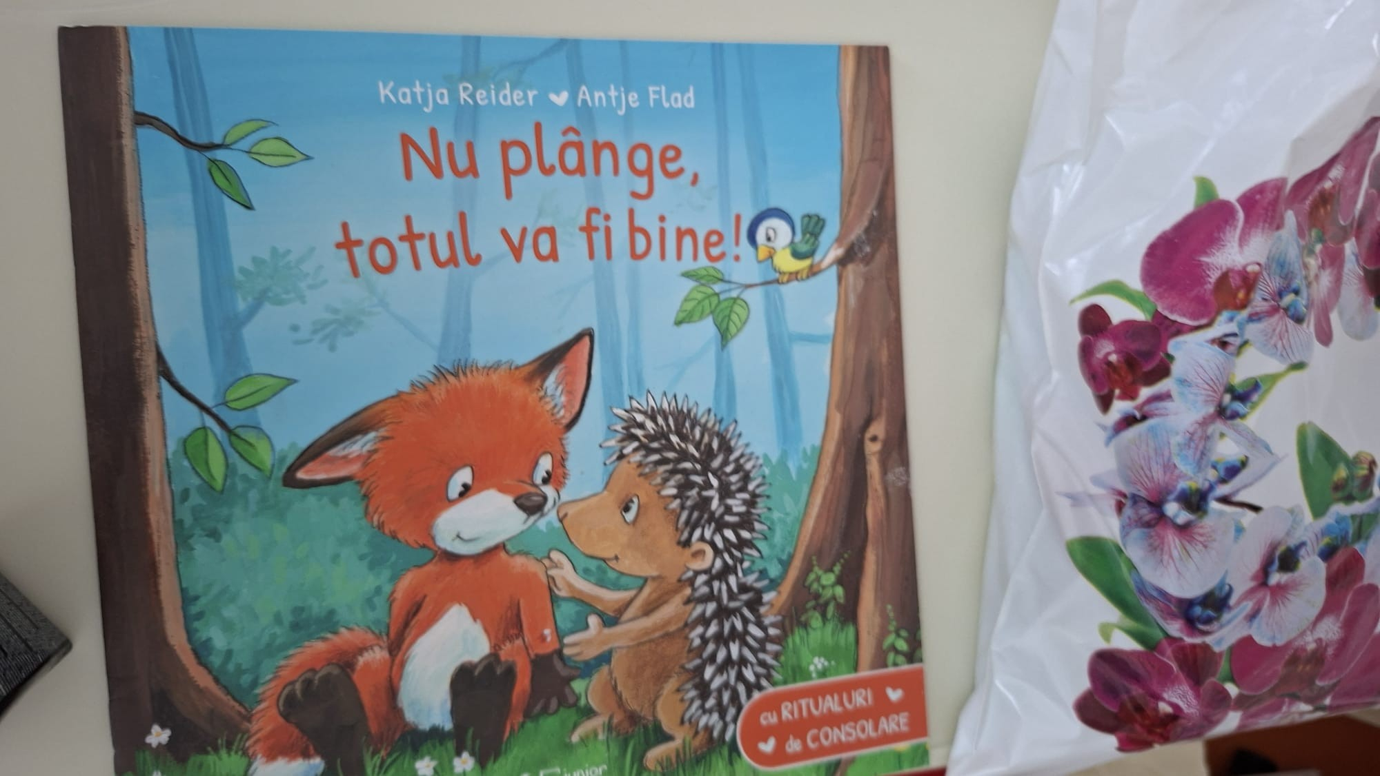 Daruri pentru copiii de la „Sfânta Maria”, într-o zi ca o poveste