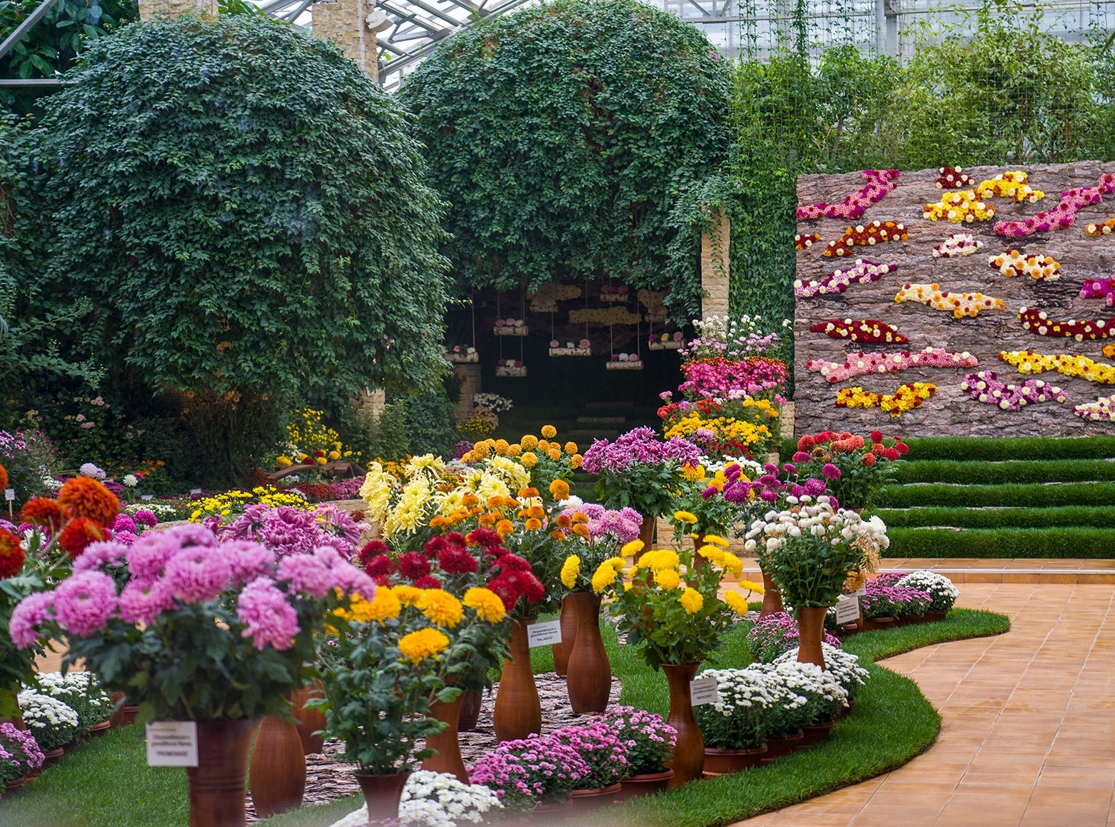 Explozie cromatică în expoziția „Flori de Toamnă”, de la Grădina Botanică Iași