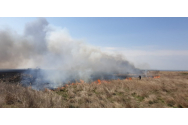  Incendiu pe 400 de hectare, în Dobrogea