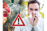 Gripa aviară s-a instalat în Corsica. Aproape 300 de găini au fost omorâte. Viroza a mai făcut victime în alte șapte țări