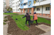 Vast program de modernizare a zonelor verzi din Iași