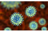 Coronavirus Romania. Aproape 200 de decese inregistrate in ultimele 24 de ore. Peste 1.500 de pacienti internati la ATI