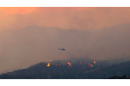 Cipru - patru persoane au murit într-un incendiu forestier. Autoritățile cer sprijin internațional