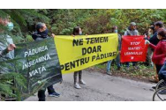 Protest la Panaci, un apel de solidaritate adresat comunității locale