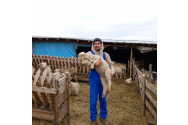 Unul masterand de la USV vrea să salveze o rasă autohtonă de ovine