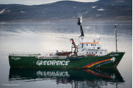 Rusia a declarat ONG-ul ecologist Greenpeace „indezirabil”