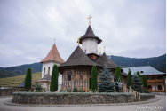 Un urs dă târcoale Mănăstirii Petru Vodă