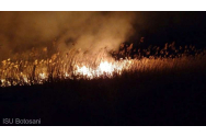 Dezastru la Botoșani! 5 hectare de miriște au ars la Havârna