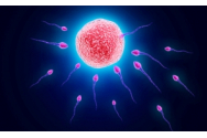 Situație îngrijorătoare: Erbicid cunoscut găsit în cantități ridicate în peste 55% din probele de spermă de la o clinică de infertilitate
