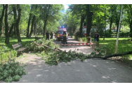 O creangă dintr-un copac din Parcul Bazilescu s-a prăbușit peste doi tineri. O fată este în comă