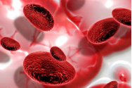 Trombocitopenia și trombocitoza: cauze, simptome și tratamente 