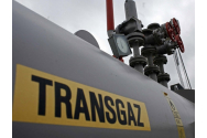 Transgaz înfiinţează societatea Romanian Gas Hub Services
