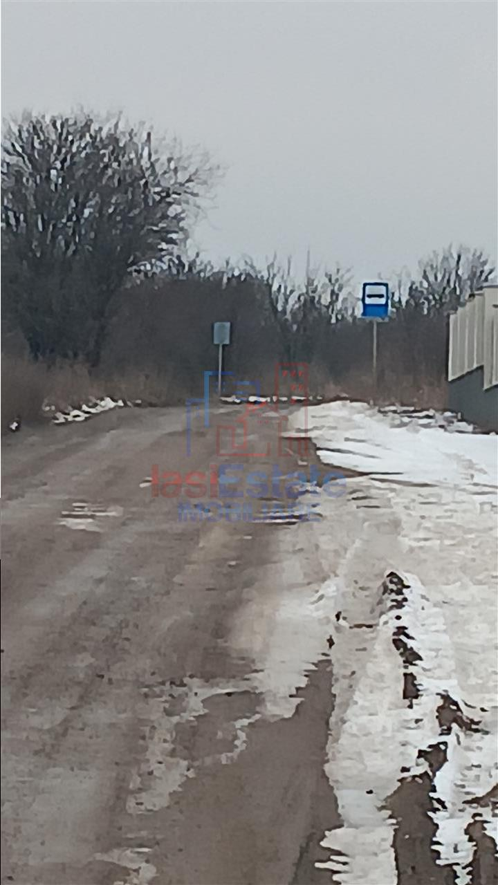 Visan str Dealul Craitelor TEREN 6383mp si 4217mp, utilitati si transport in comun