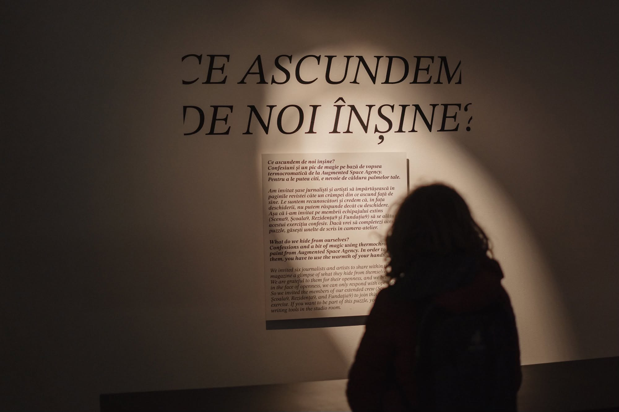 Iașul scoate la lumină traume, frici și stele. Expoziția „Ce ascundem” ajunge la Muzeul Gane