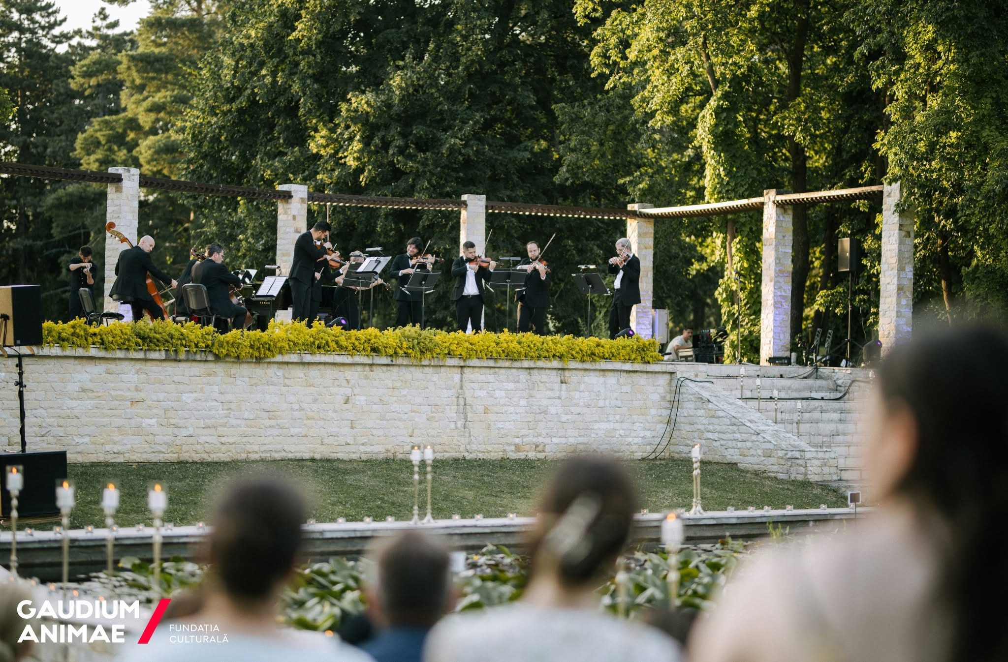 Stradivarius în concert, de Sânziene