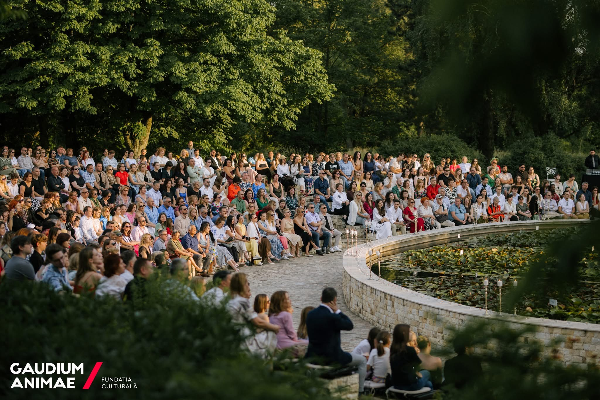 Stradivarius în concert, de Sânziene