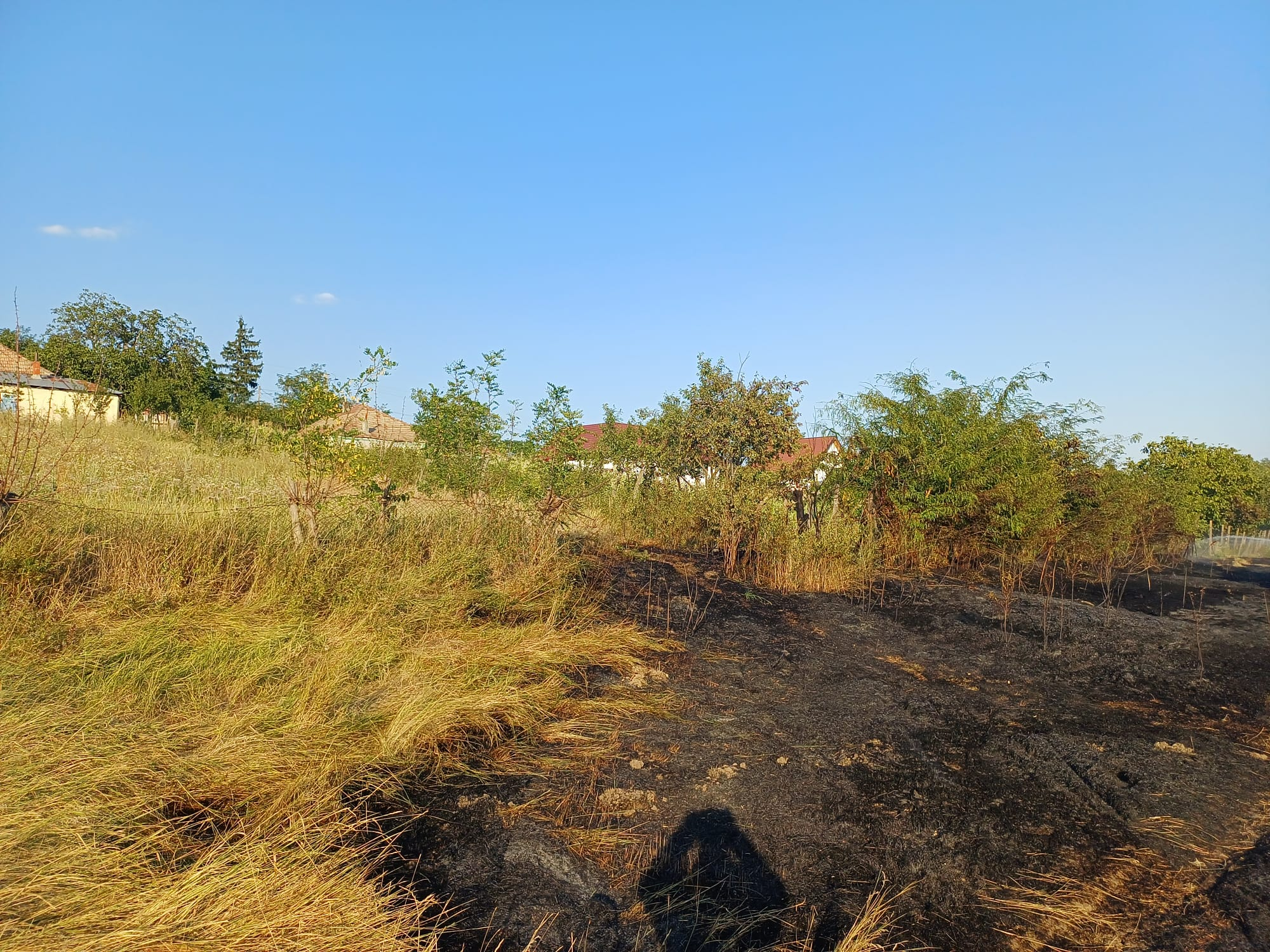 Canicula aprinde Iașul. 256 de incendii au mistuit deja sute de hectare de teren