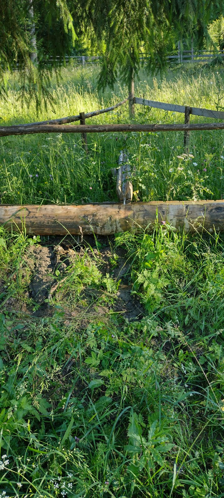 Vând teren în Bucovina 