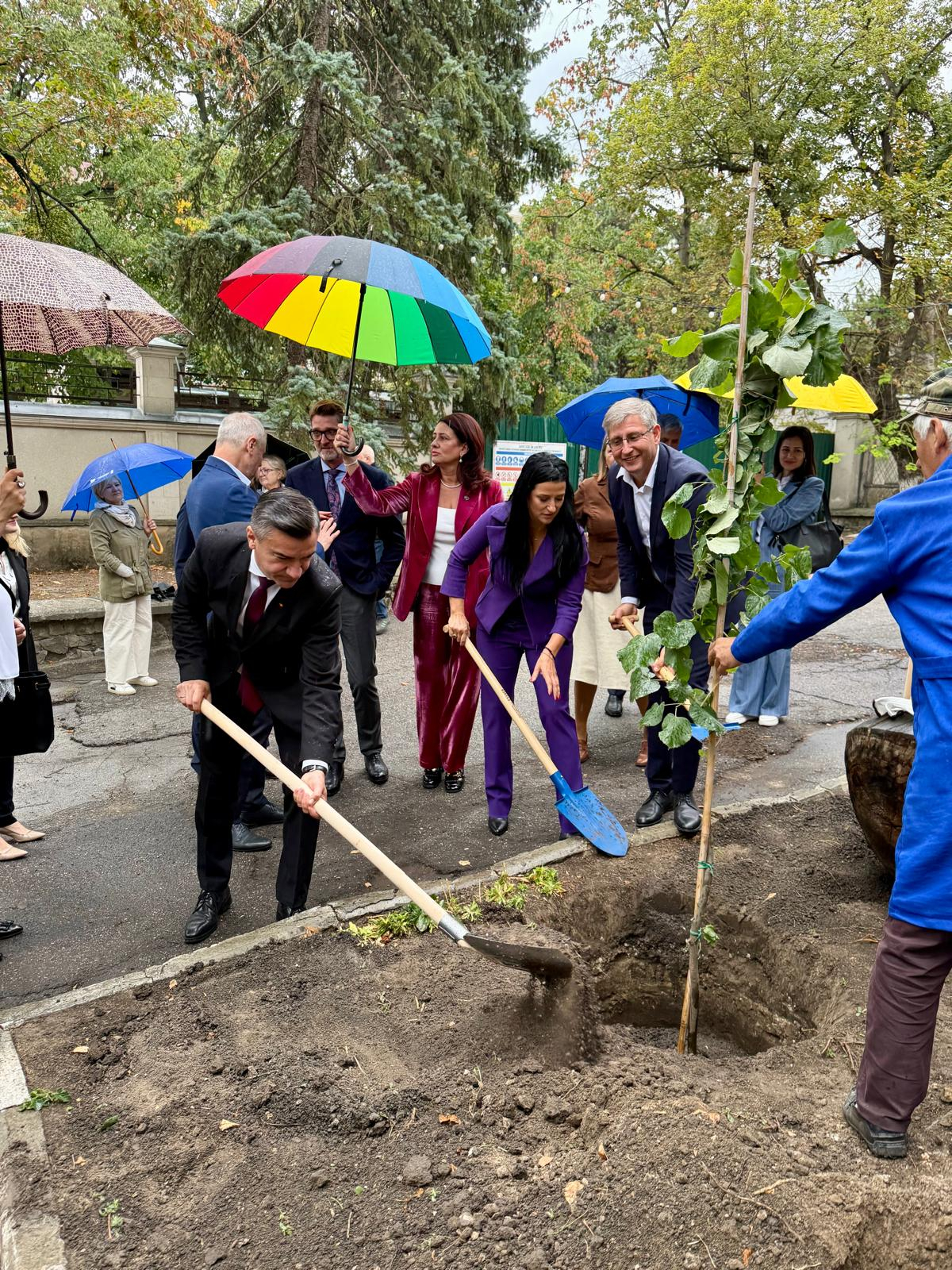 FOTO -- Un vlăstar din Teiul lui Mihai Eminescu a fost plantat la Chișinău