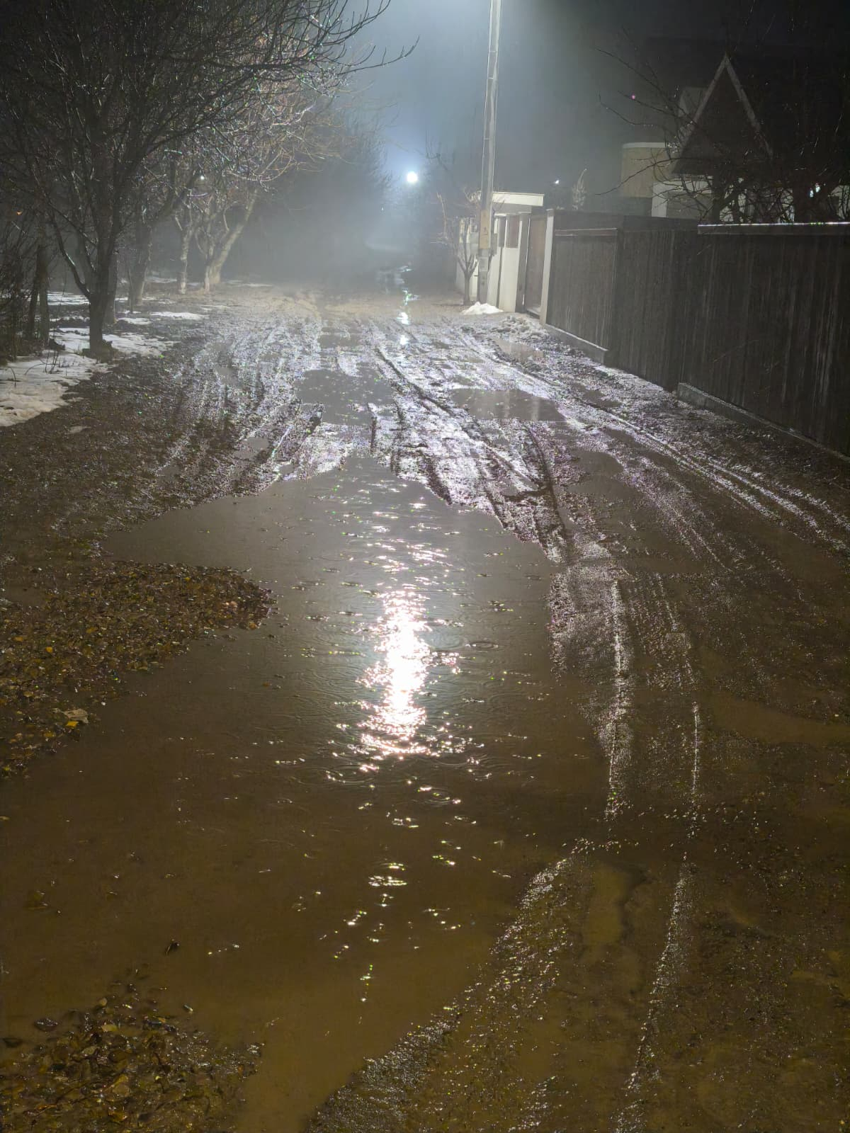 GALERIE FOTO -- Rediu, capitala glodului. Bătaie de joc cu acte în regulă, la câțiva kilometri de Iași